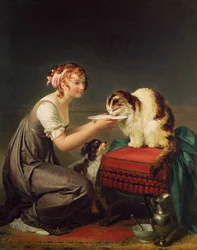 Das Mittagessen der Katze